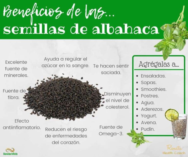 Beneficios y usos de la semilla de albahaca
